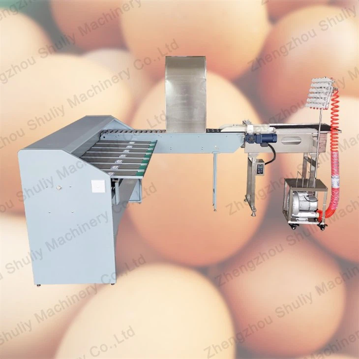 Egg Size Sorting Machine