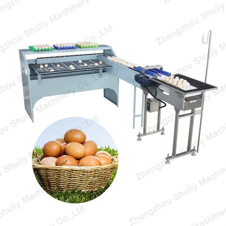 Egg Size Sorting Machine