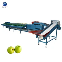 Fruit Weight Sorting Machine