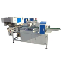 Incense Counting Packaging Machine