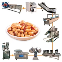 Peanut Frying Machine