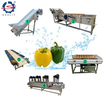 Vegetable And Fruit Washing Drying Line