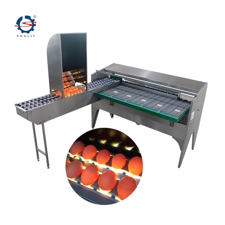 egg sorting grading machine5