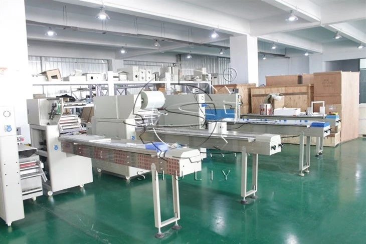 packaging machine (2)