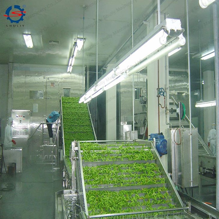 China Customized Frozen Green Peas Processing Plant Manufacturers