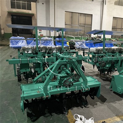8-Row Onion Seedling Transplanter in Libya
