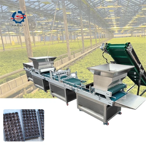 Automatic Vegetable Tray Seeder Machine Working Demo | Cu...