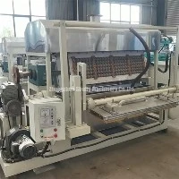 Egg Tray Machine in Ghana: A Customized 4×1 Egg Tray Prod...