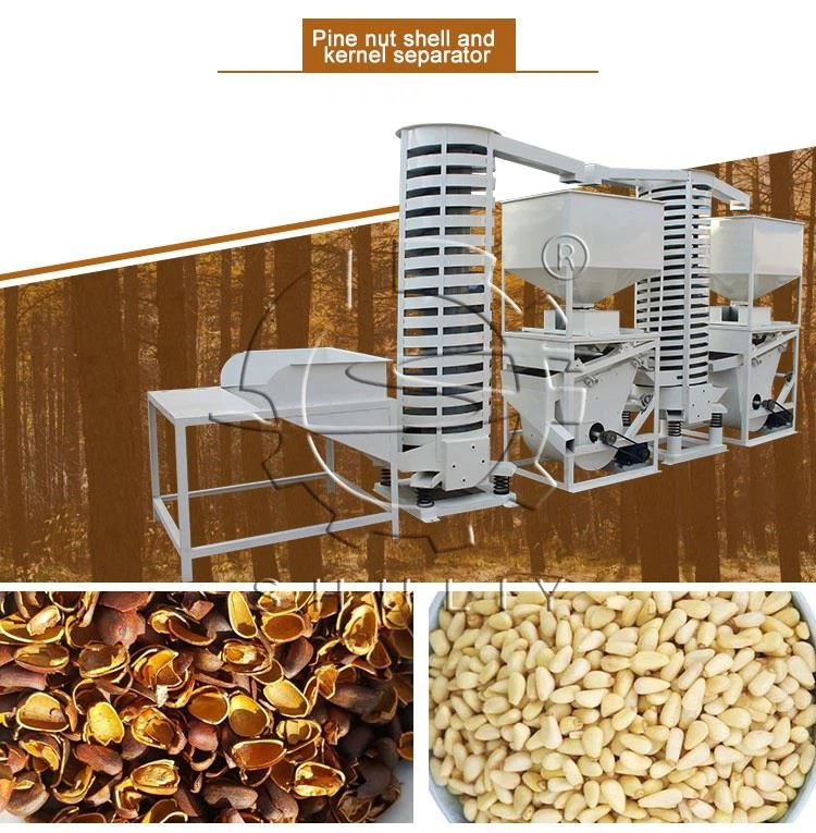 Pine Nuts Processing Line high quality