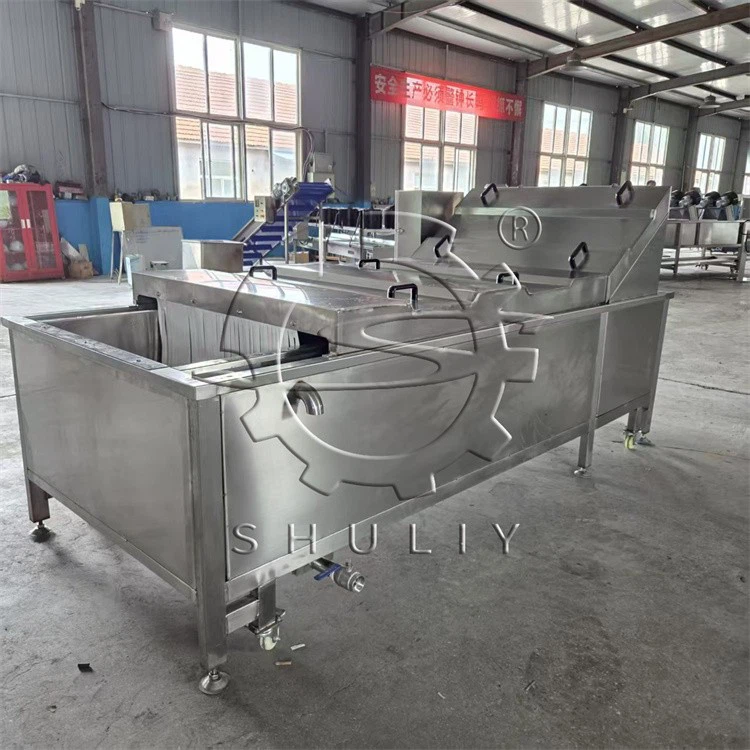 Potato Chips Blanching Machine factory