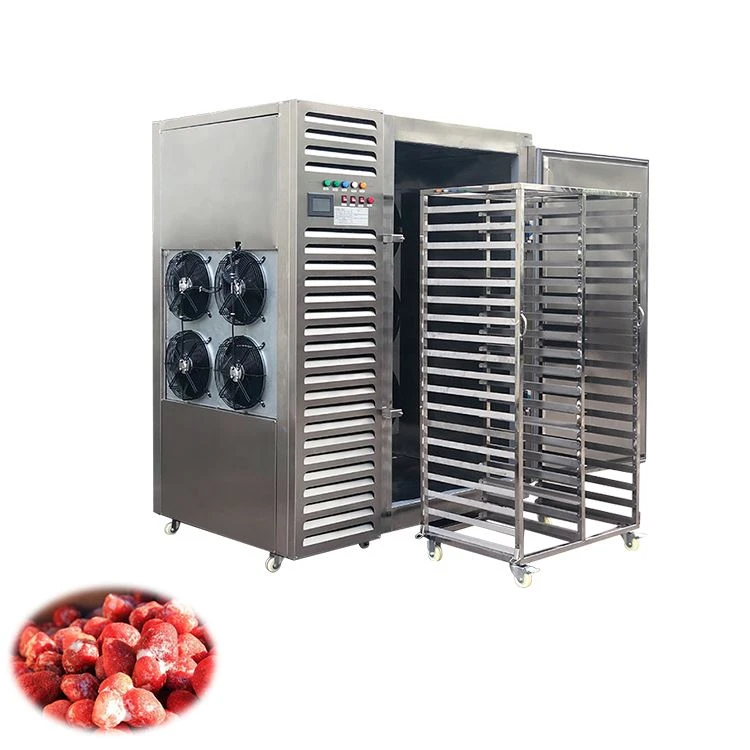 Quick Freeze Freezer