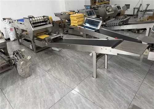 Eggs Trays Loading Machine