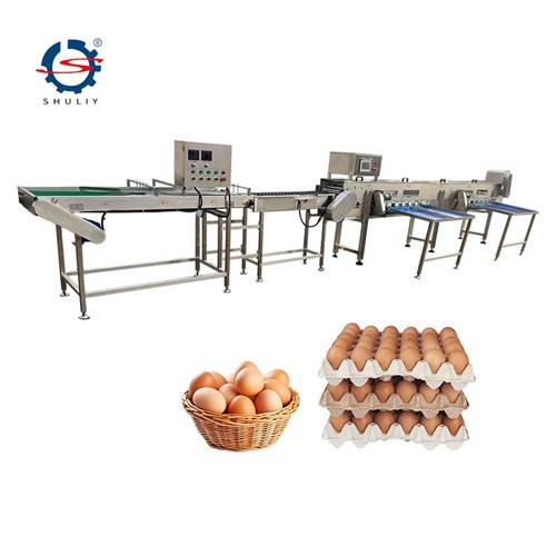 Electronic Egg Grading Machine