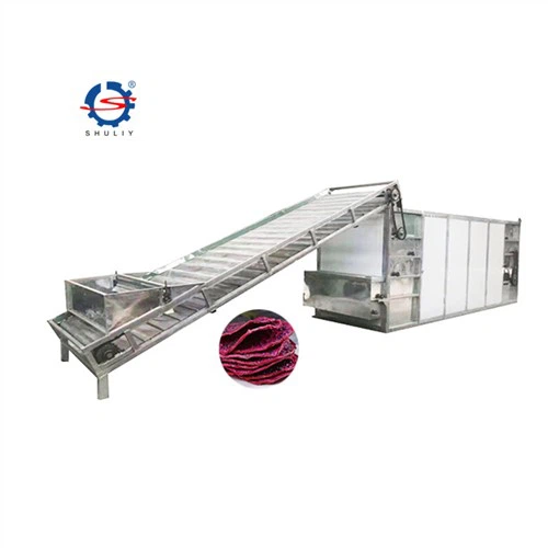 Fruit And Vegetable Dehydrator Machine